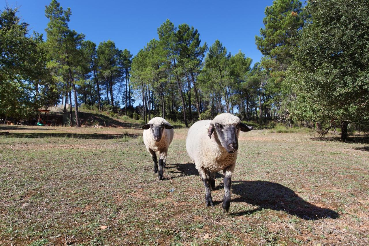 Domaine Les Petites Vaines Hotel Goult Bagian luar foto